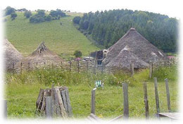 Butser Ancient Farm